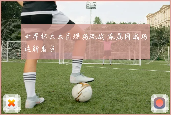 世界杯太太团现场观战 家属团成场边新看点