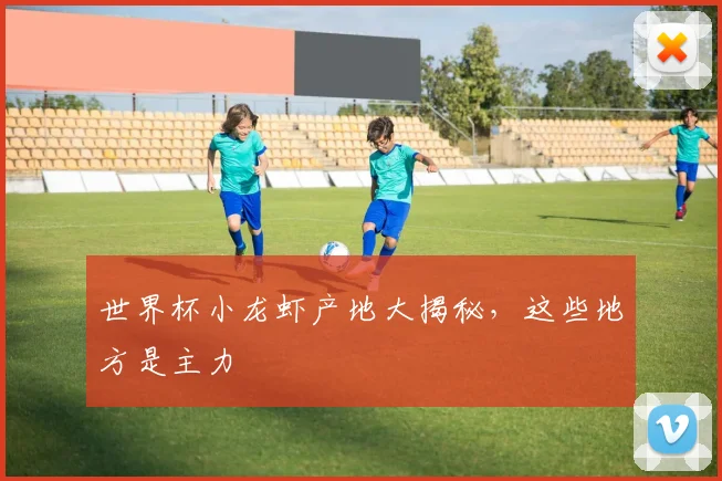 世界杯小龙虾产地大揭秘，这些地方是主力