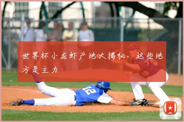 世界杯小龙虾产地大揭秘,这些地方是主力