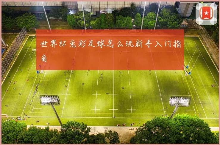 世界杯竞彩足球怎么玩新手入门指南