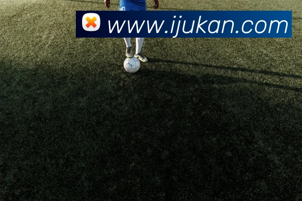 买球官方平台生态图