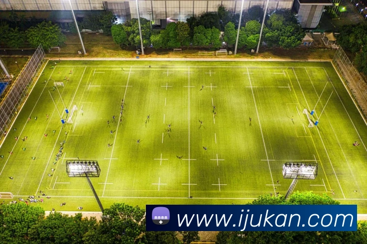 买球官方APP 封面图